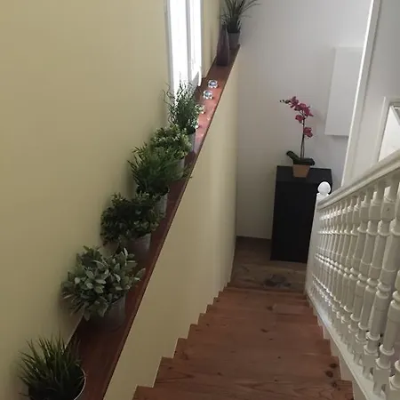 Chilo Tipi بيت للعطل